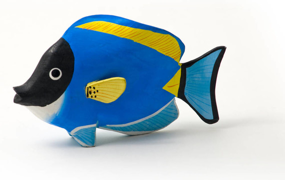 醫(yī)生魚(yú)。