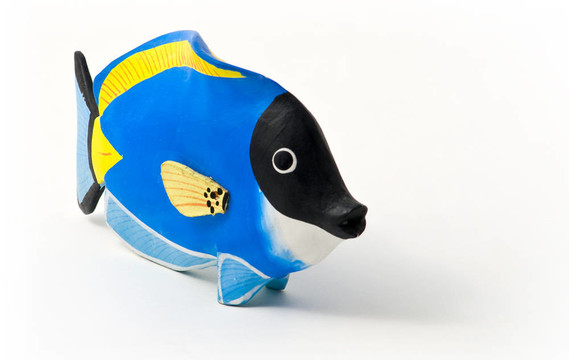 醫(yī)生魚(yú)。