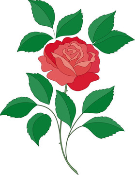 玫瑰的花