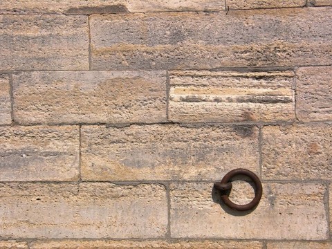 系留環(huán)