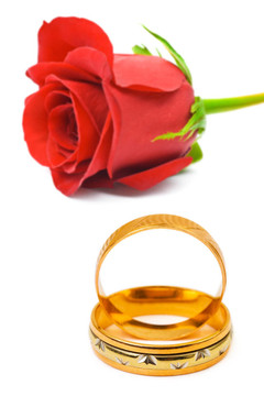 玫瑰和結(jié)婚戒指