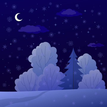 景觀；森林邊緣；冬季夜晚