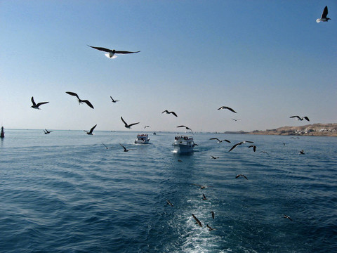 海走