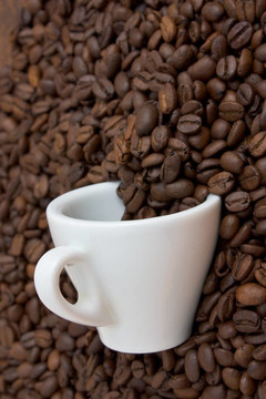 一杯咖啡