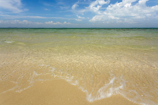 野生的熱帶海灘