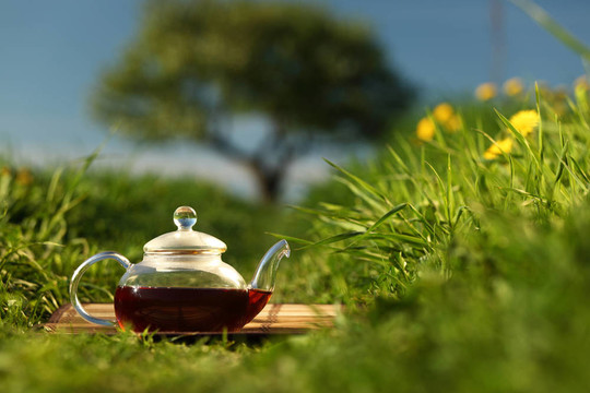 壺里的天然茶