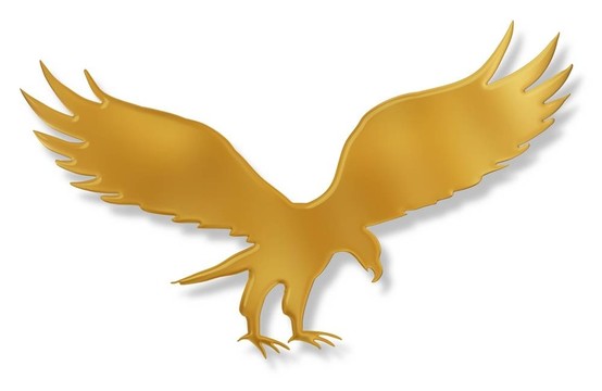 金鷹