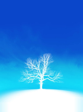 雪樹