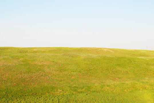 夏天的風景