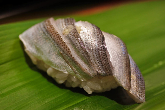 鯡魚壽司（kohada）在一片綠葉