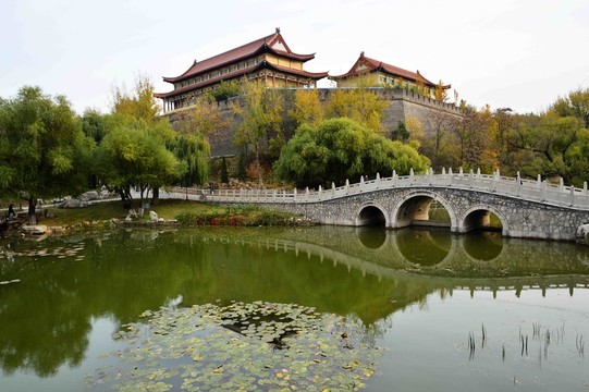 秋日?qǐng)@林美景