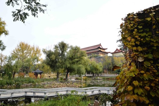 秋日?qǐng)@林美景