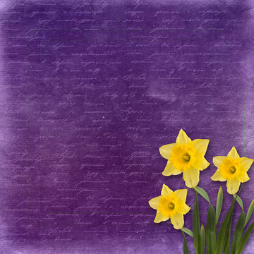 邀請(qǐng)或祝福一束束鮮花卡