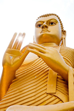 金菩薩