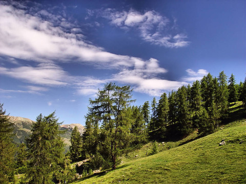 夏季高山景觀