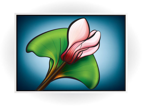 粉紅色仙客來(lái)花