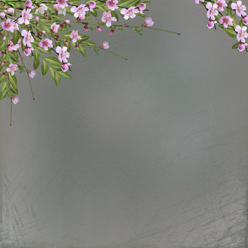 用花香花束書寫抽象背景