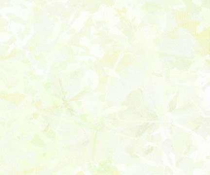 淡花抽象