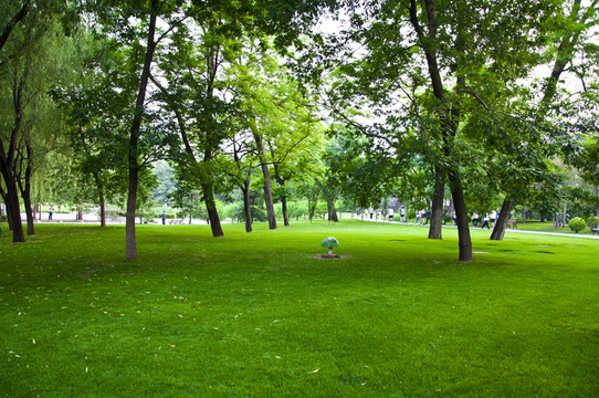公園綠地