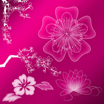 美麗的插圖花卉背景設(shè)計與梯度