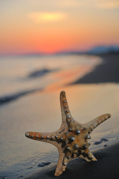 沙灘上的夏天海灘上的日落