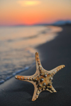 沙灘上的夏天海灘上的日落