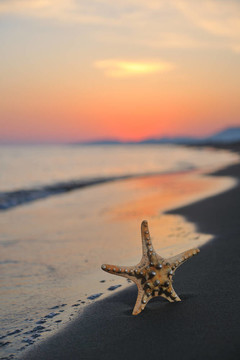 沙灘上的夏天海灘上的日落