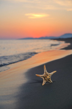 沙灘上的夏天海灘上的日落