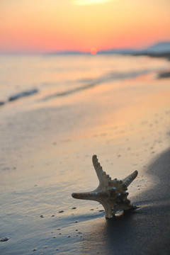 沙灘上的夏天海灘上的日落
