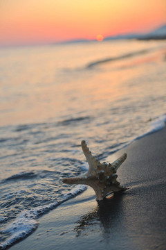 沙灘上的夏天海灘上的日落