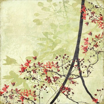 仿古紙上糾纏的花邊