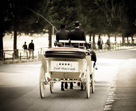 剛結(jié)婚的馬車