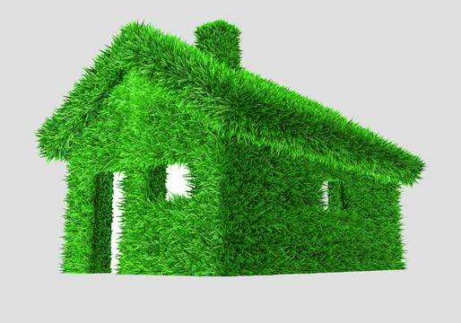 一個(gè)有草的綠色房子3D說明
