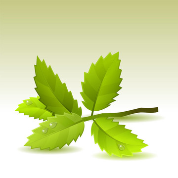光背景下帶有綠色葉子的小樹(shù)枝
