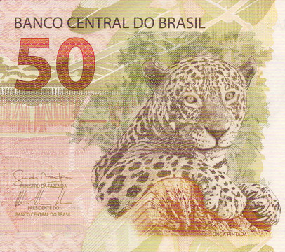 虎（Panthera onca）從巴西50雷亞爾紙幣藝術(shù)品