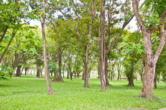 休閑裝飾公園