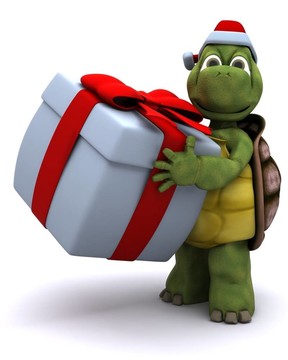 Tortoise santa的性格