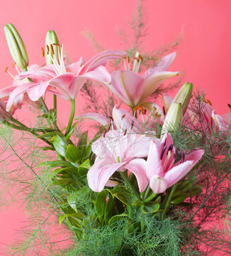 彩色背景的粉紅色百合花束
