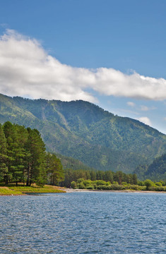 在夏季，山區(qū)河流的美景；阿爾泰山；俄羅斯