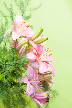 彩色背景的粉紅色百合花束