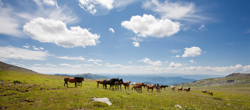 阿爾泰山。一個美麗的風(fēng)景？？？？？？？和藍色的天空。