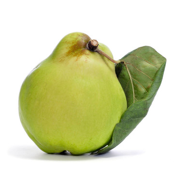 木瓜果實(shí)