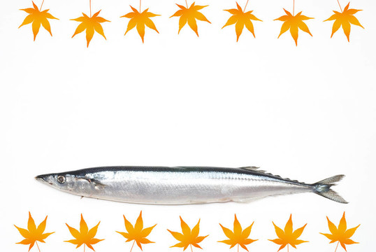 楓葉圖片魚