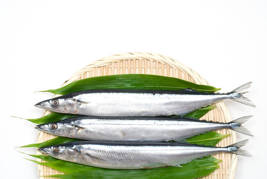 竹篩上的魚