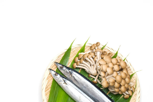 竹上的魚和蘑菇