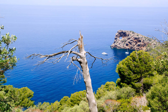 Deia Sa Foradada在地中海馬略卡島