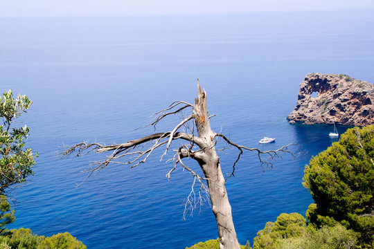 Deia Sa Foradada在地中海馬略卡島