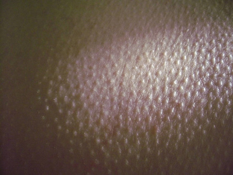 陽光下的女人皮膚