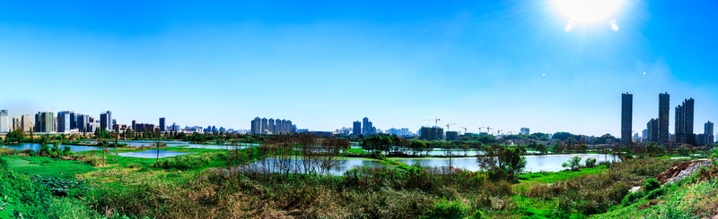 城市中的綠地
