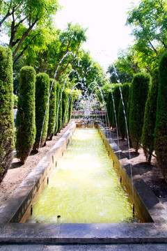 Jardin des麗花園·馬略卡島帕爾馬